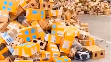 Los animales habían sido embalados para enviar a futuros propietarios.