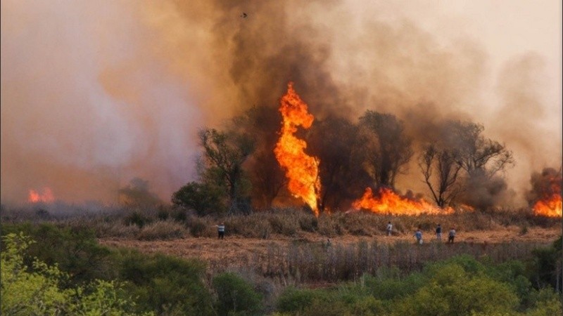 El fuego en el Delta del Paraná