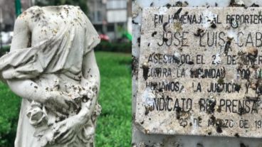 La plaza Pringles atacada por las palomas.