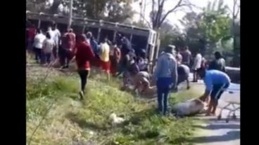 La gente, desesperada, intentando llevarse alguno de los animales