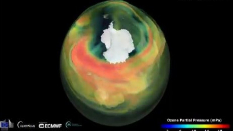 La capa de ozono protege al planeta Tierra de los efectos adversos de la radiación.