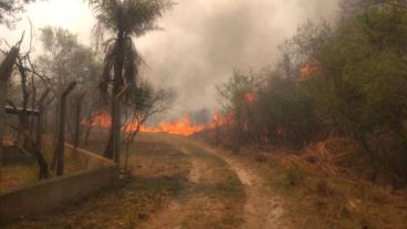 "La pérdida fue casi total" comentaron los guardaparques