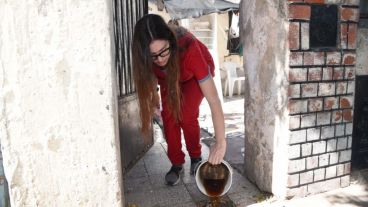 Sin mosquito no hay dengue