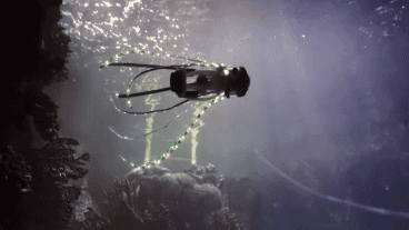 El "Squidbot" tiene un diseño que le permite propulsarse mediante de chorros de agua