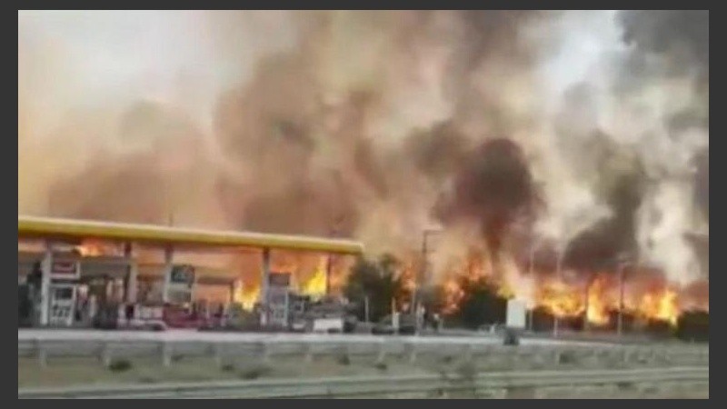 Afortunadamente no sufrieron daños físicos