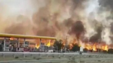 Afortunadamente no sufrieron daños físicos