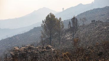 La tormenta ayudó a todos los focos de incendios de Córdoba