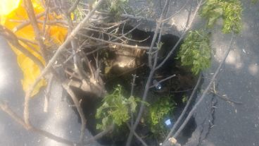 Gorriti al 900, a 20 metros de la avenida Alberdi.