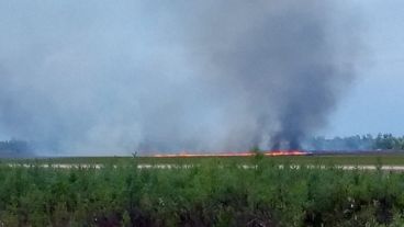 Imágenes captadas por pescadores, este jueves frente a San Lorenzo.