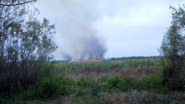 Imágenes captadas por pescadores, este jueves frente a San Lorenzo.