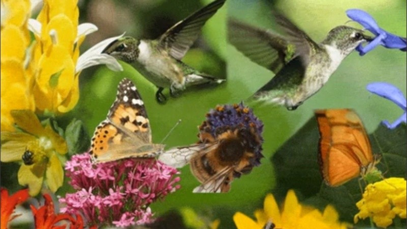 La primavera con todo.