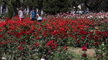 Multicolor: así luce el Rosedal tras la llegada de la primavera.