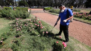 Multicolor: así luce el Rosedal tras la llegada de la primavera.
