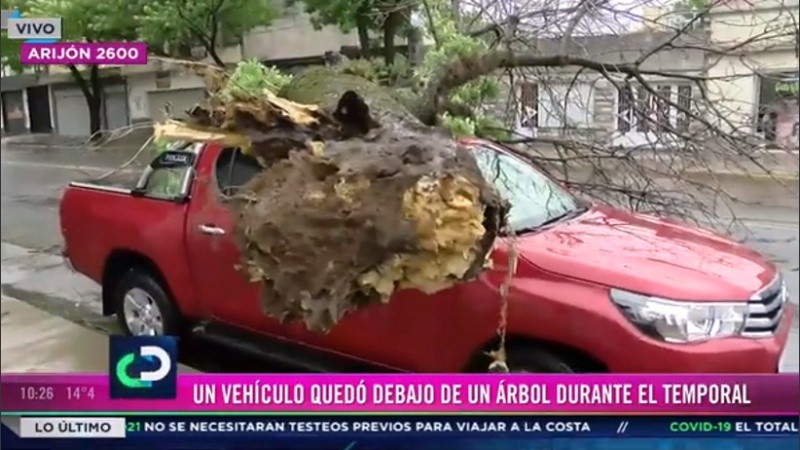 El árbol se cayó arriba de una camioneta en Arijón al 2600.