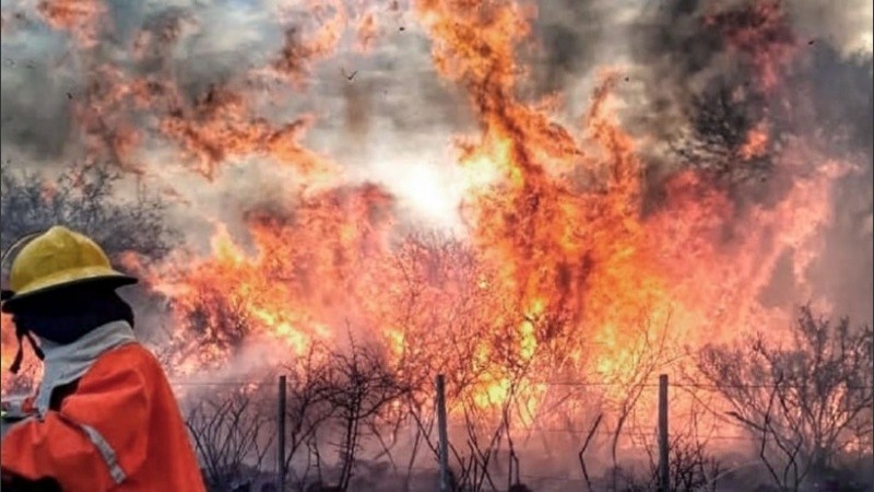 En Córdoba ya se quemaron 350.000 mil hectáreas en lo que va del año.