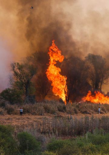 Los datos detrás del humo: el año del fuego en las islas, mes por mes