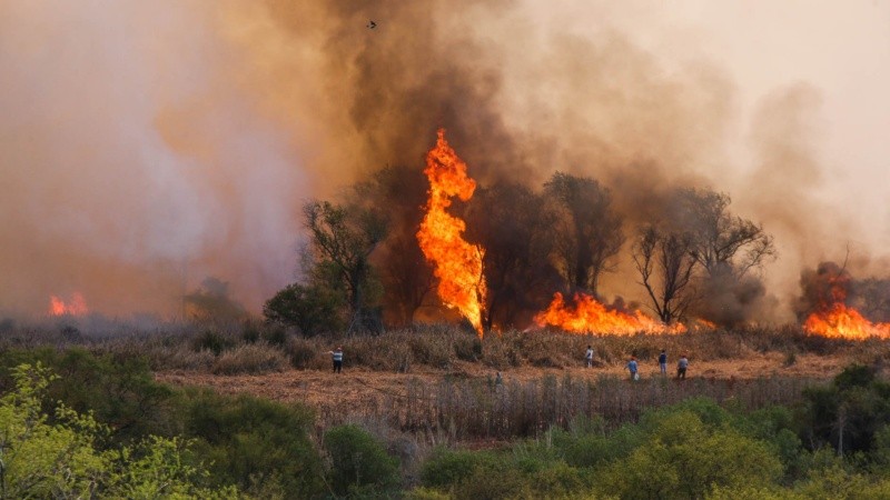 Los incendios en las islas dañan al ecosistema y afectan a Rosario con el humo.