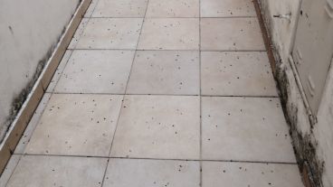 Pasillos, balcones y patios dan cuenta de la invasión.