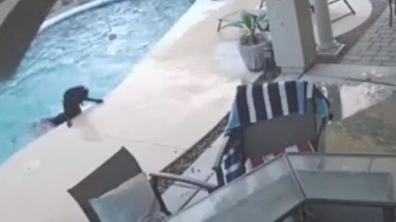 El hecho ocurrió en Estados Unidos