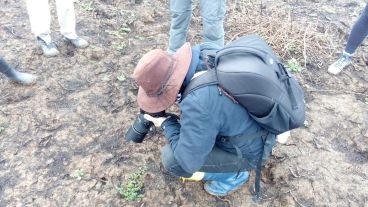 El primero de los once viajes a las islas con fines científicos.