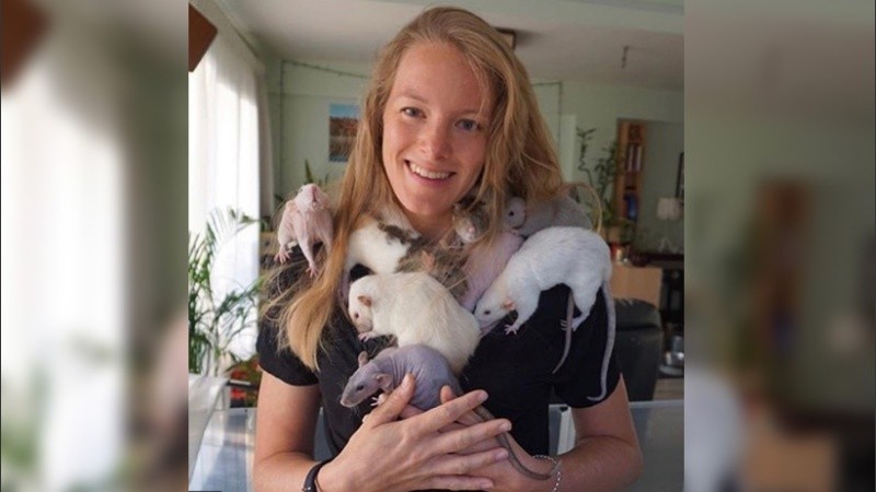 La cuenta está dedicada a mostrar la vida de los pequeños roedores.