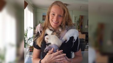 La cuenta está dedicada a mostrar la vida de los pequeños roedores.