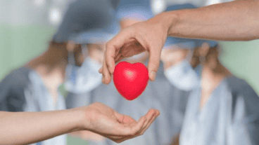 En lo que va del 2020 ya se concretaron más de 900 trasplantes