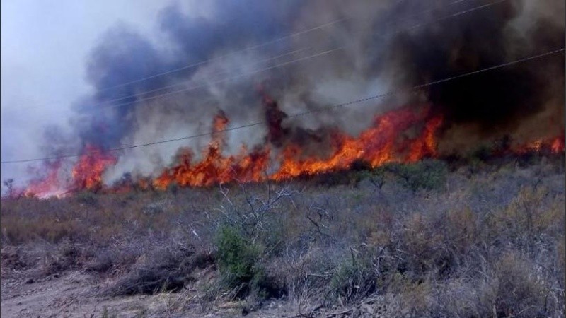Advierten que ya se quemaron más de 180 hectáreas de bosque nativo