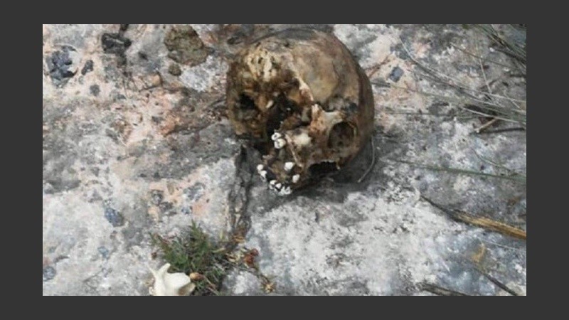 Un vecino lo vio en plena calle y dio aviso a la policía comunitaria