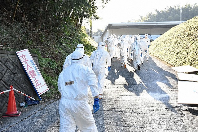 La gripe aviar puede transmitirse de animal a persona.