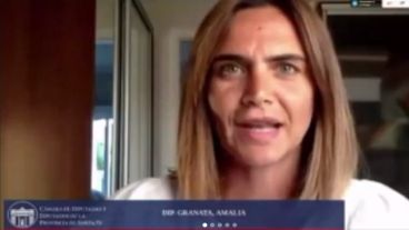 La diputada provincial se refirió al ministro de Seguridad durante la sesión de ayer.