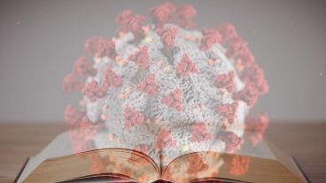 literatura pandemia DEF