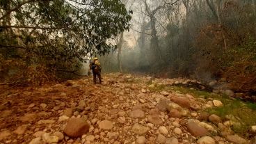 Equipos de bomberos trabajan para apagar el fuego.
