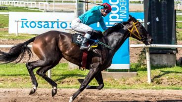 Siete personas atienden cada caballo en el hipódromo de Rosario.