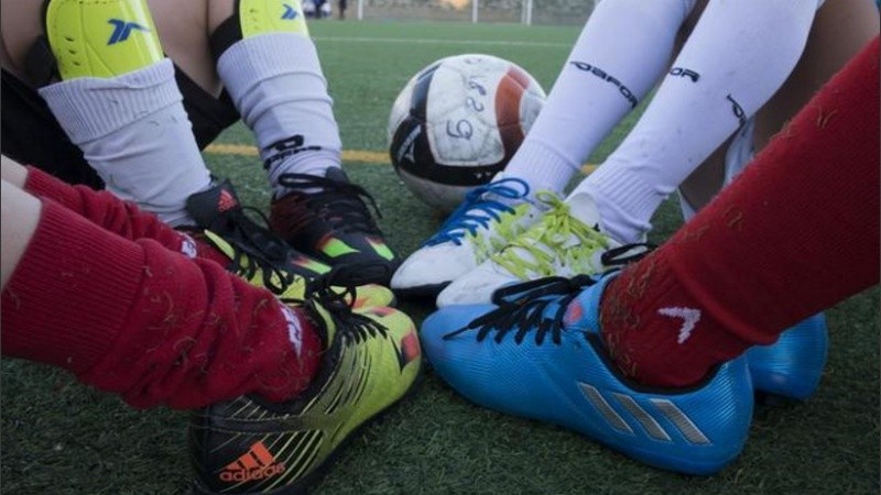 Avanza la posibilidad de volver a las canchas. 