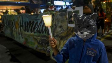Caravana de antorchas en Rosario en reclamo por la ley de Humedales.
