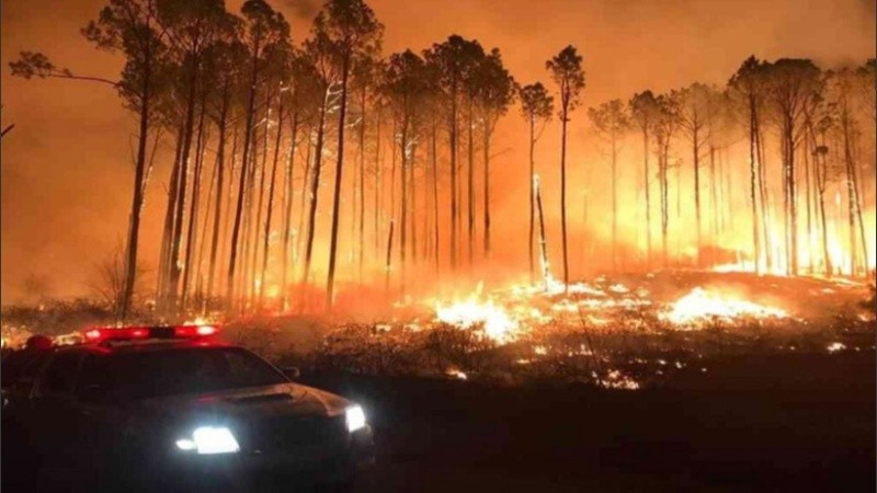En octubre se registraron 145 incendios forestales, con una superficie de más de 100 mil hectáreas afectada.
