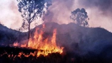 El mayor foco es "Arroyo Yuto-Unión Seca" donde se consumieron 24.350 has.