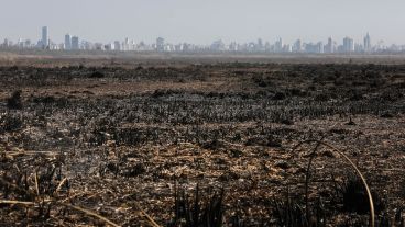 En 2020 quemaron más de medio millón de hectáreas de humedal.