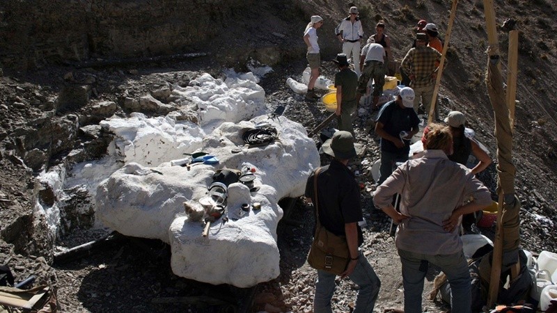 El descubrimiento fue en 2008, pero los trabajos de campo comenzaron en 2010.