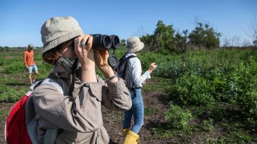 El trabajo de investigación en las islas frente a Granadero Baigorria.