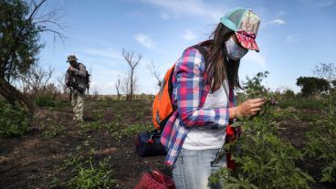 El trabajo de investigación en las islas frente a Granadero Baigorria.