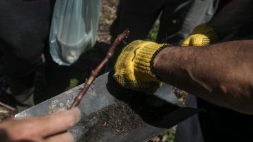 El trabajo de investigación en las islas frente a Granadero Baigorria.