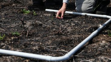 El trabajo de investigación en las islas frente a Granadero Baigorria.