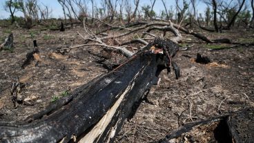 El trabajo de investigación en las islas frente a Granadero Baigorria.