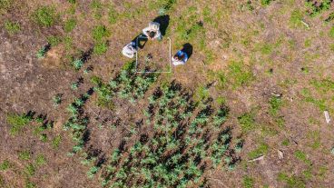 El trabajo de investigación en las islas frente a Granadero Baigorria.