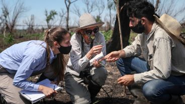 El trabajo de investigación en las islas frente a Granadero Baigorria.