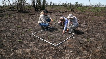 El trabajo de investigación en las islas frente a Granadero Baigorria.