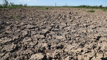 El fondo de lo que era una laguna ahora es tierra seca y agrietada en la isla de Los mástiles.