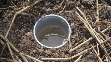Una trampa en el área no quemada pero casi tan seca como la otra por la falta de lluvia.